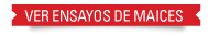 Ensayos