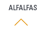 alfalfas